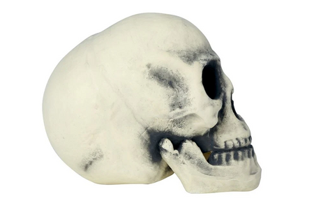 CZASZKA 32 CM HALLOWEEN