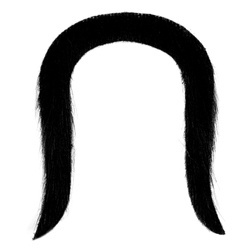 WĄSY CHIŃSKIE SAMURAJA