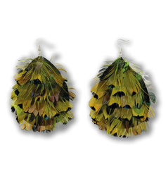 KOLCZYKI PAWIE PIÓRA