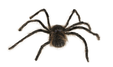  BRĄZOWY WŁOCHATY PAJĄK 75 CM