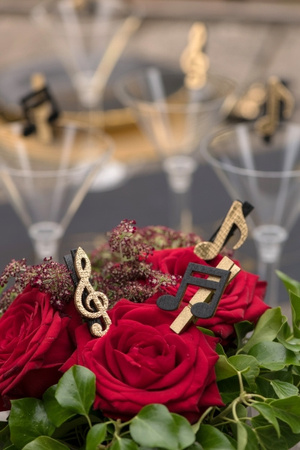 KLAMERKI OZDOBNE NUTY 6 SZT