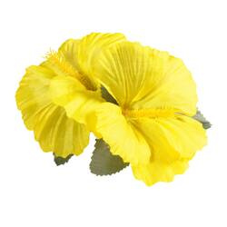 SPINKA HAWAJSKA ŻÓŁTA