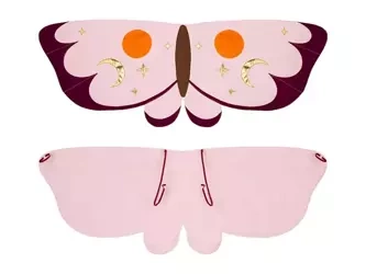 STRÓJ SKRZYDŁA ĆMY