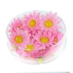 KWIATY OZDOBNE RÓŻOWE