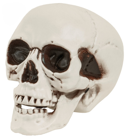 CZASZKA Z RUCHOMĄ SZCZĘKĄ 12 CM