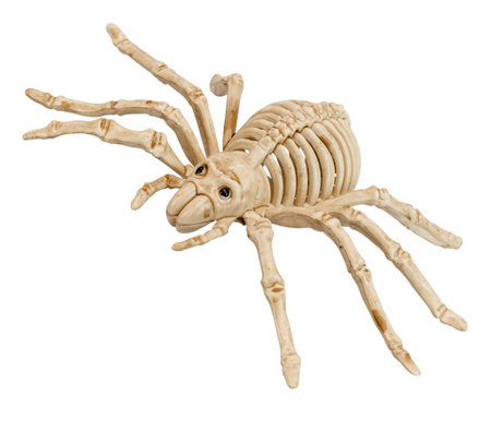 SZKIELET PAJĄKA 25 CM