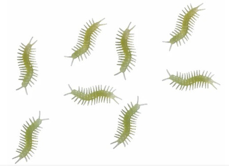 STONOGI FLUORESCENCYJNE 8 SZT 6 CM 