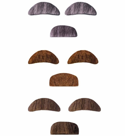 Wąsy i Bródka Profesora, Charakteryzacja