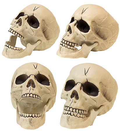 CZASZKA PLASTIKOWA Z RUCHOMĄ SZCZĘKĄ 21 CM 