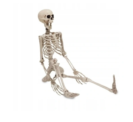 DEKORACJA SZKIELET 90 CM