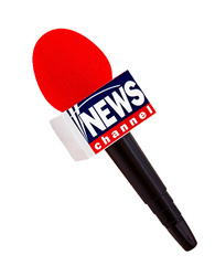 MIKROFON REPORTERA 26 CM