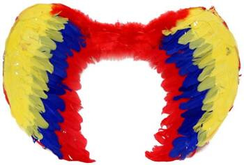 KOLOROWE SKRZYDŁA Z PIÓR 60 X 40 CM