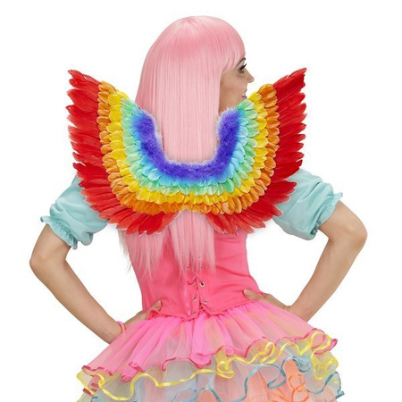 SKRZYDŁA Z PIÓR TĘCZOWE 60x40 CM