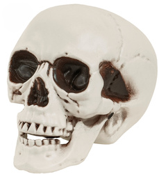 CZASZKA Z RUCHOMĄ SZCZĘKĄ 12 CM