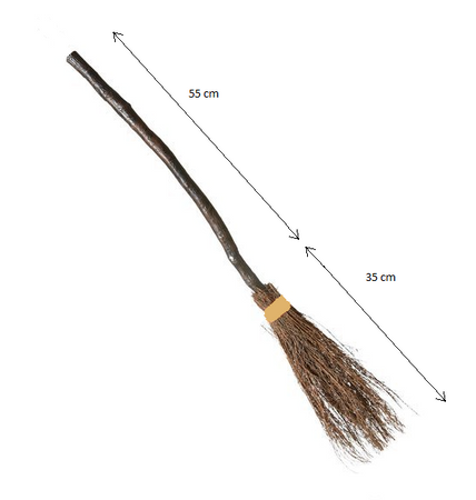 MIOTŁA CZAROWNICY BRĄZOWA