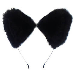 USZY KOTA KOTKA NA OPASCE