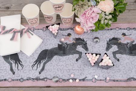 BIEŻNIK KONIE 30 X 500 CM