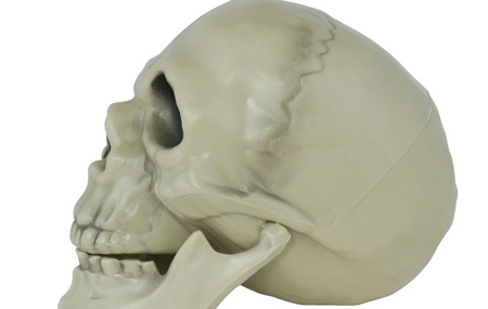 CZASZKA Z RUCHOMĄ SZCZĘKĄ 13 CM HALLOWEEN