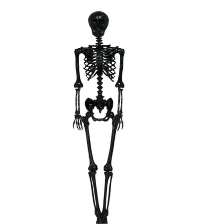 DEKORACJA SZKIELET CZARNY 90 CM