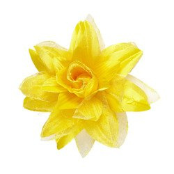 SPINKA ŻÓŁTY KWIAT LOTOSU