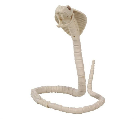 SZKIELET KOBRY 100 CM
