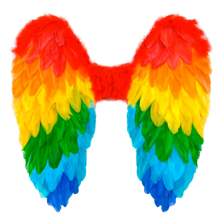 SKRZYDŁA TĘCZOWE 50 X 50 CM 