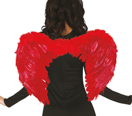 SKRZYDŁA CZERWONE PIÓRA 51 X 40 CM