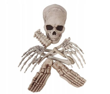 ZESTAW KOŚCI 12 SZT HALLOWEEN