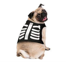 STRÓJ DLA PSA SZKIELET SIZE M