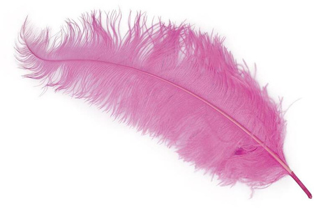 PIÓRO STRUSIE 1 SZT RÓŻOWE 60 CM