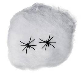 PAJĘCZYNA BIAŁA Z PAJĄKAMI 200 G