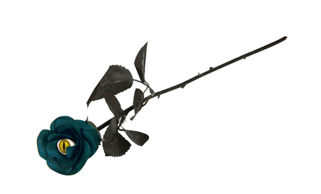 RÓŻA Z KOCIM OKIEM CZARNO-NIEBIESKA