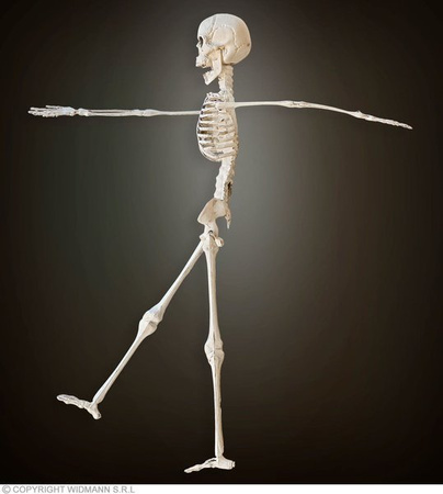 KOŚCIOTRUP WISZĄCY 40 CM