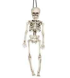 SZKIELET CZŁOWIEKA 40cm