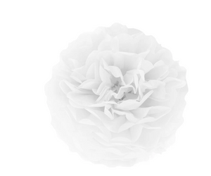 POMPON BIBUŁOWY BIAŁY 25 CM
