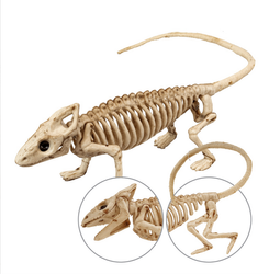 SZKIELET IGUANY 43 CM