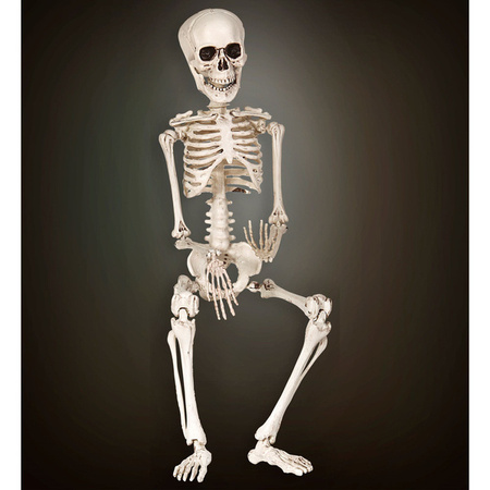 KOŚCIOTRUP WISZĄCY 50 CM