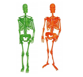 SZKIELET LATEKSOWY HALLOWEEN 34X10CM