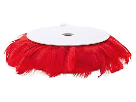 PIÓRKA NA DRUCIE CZERWONE 10m