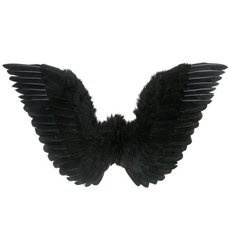 SKRZYDŁA CZARNE