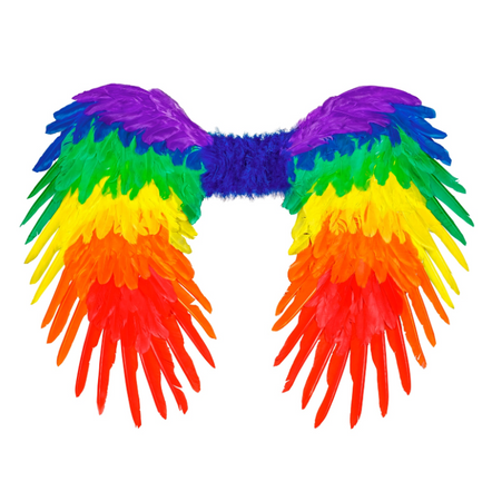 SKRZYDŁA TĘCZOWE Z PIÓR