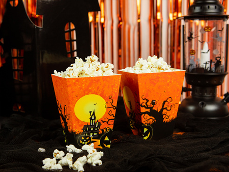 PUDEŁKA NA POPCORN NAWIEDZONY DOM 6 SZT