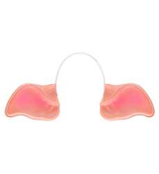 USZY ŚWINI NA OPASCE