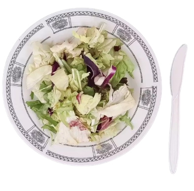 NOŻE PLASTIKOWE WIELORAZOWE BIAŁE 10 SZT