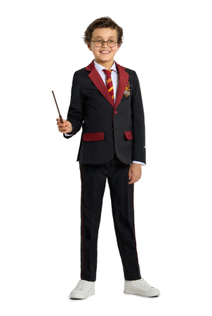 GARNITUR CHŁOPIĘCY HARRY POTTER SUITMEISTER 