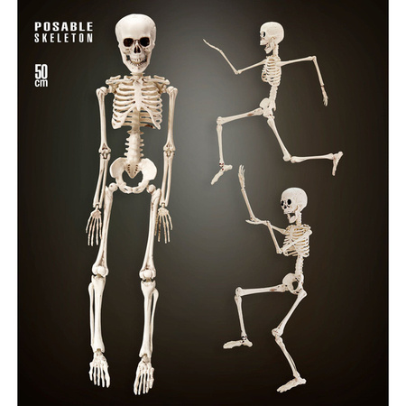 KOŚCIOTRUP WISZĄCY 50 CM