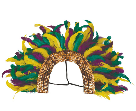 PIÓROPUSZ BRAZYLIJSKI RIO WIELOKOLOROWY