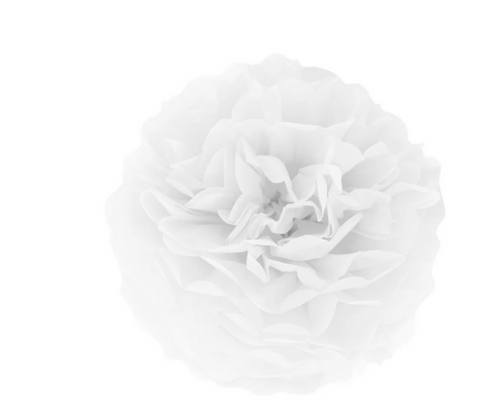 ZESTAW POMPONÓW BIBUŁOWYCH BIAŁO-CZERWONE 2 SZT