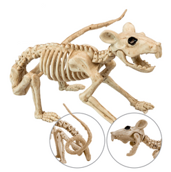 SZKIELET SZCZURA 40 CM