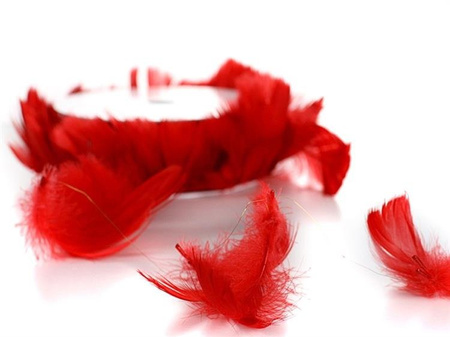 PIÓRKA NA DRUCIE CZERWONE 10m